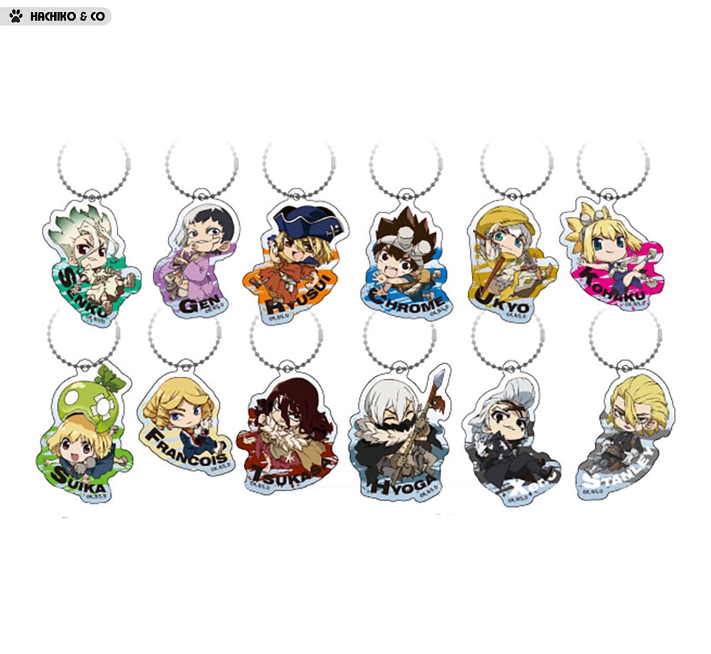 dr-stone-acrylic-keyholder-4903320168633